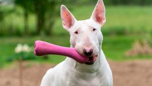 photo_1_2025-08-04_15-45-36