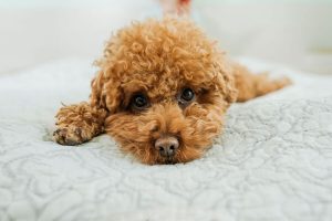 photo_2_2025-08-04_15-45-36