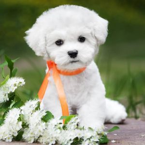 photo_4_2025-08-04_15-45-36