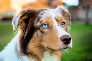photo_5_2025-08-04_15-45-36
