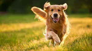 photo_6_2025-08-04_15-45-36